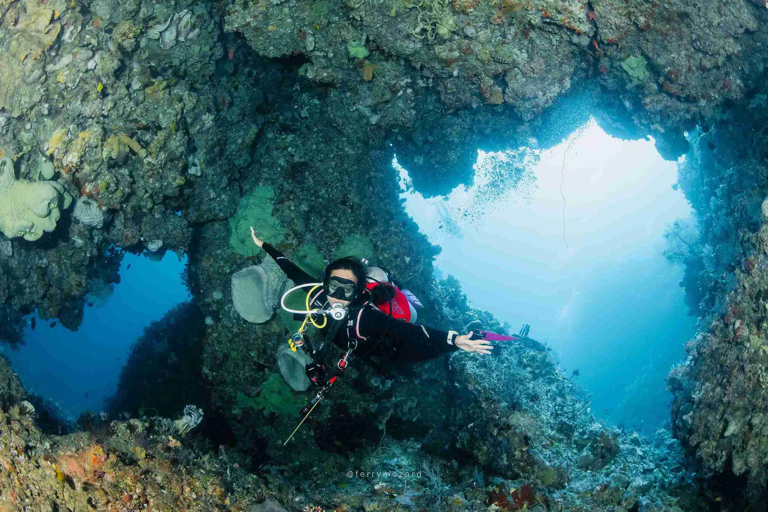 Alor Underwater World