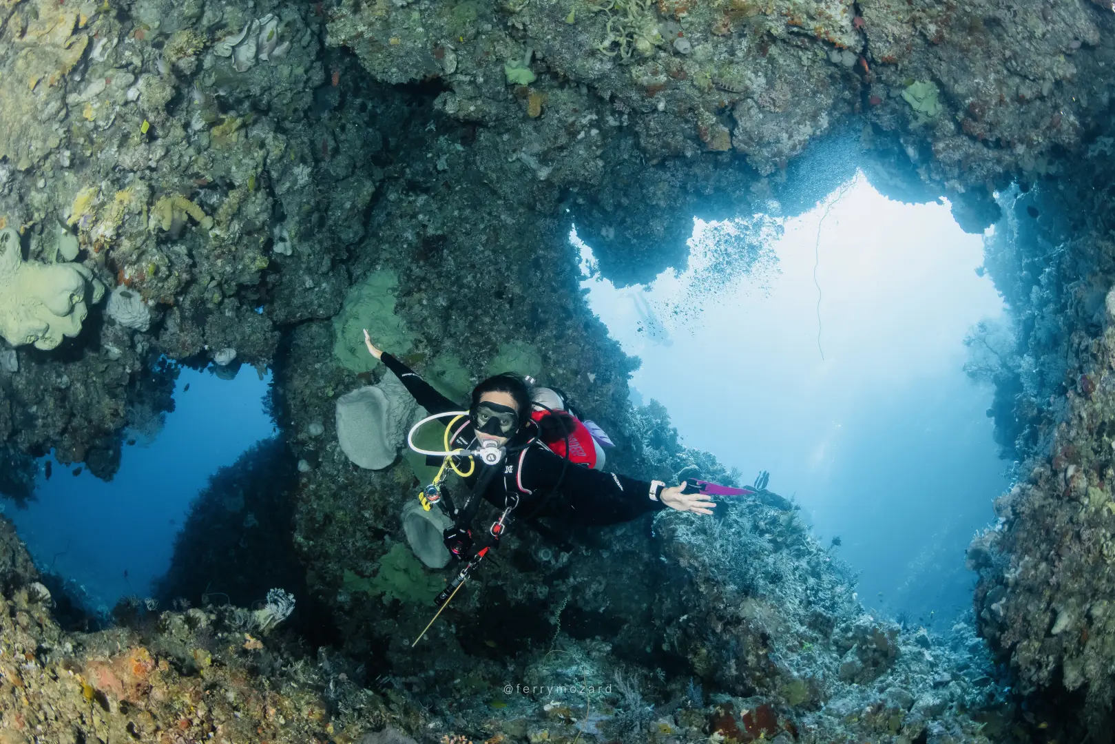 Dive Packages