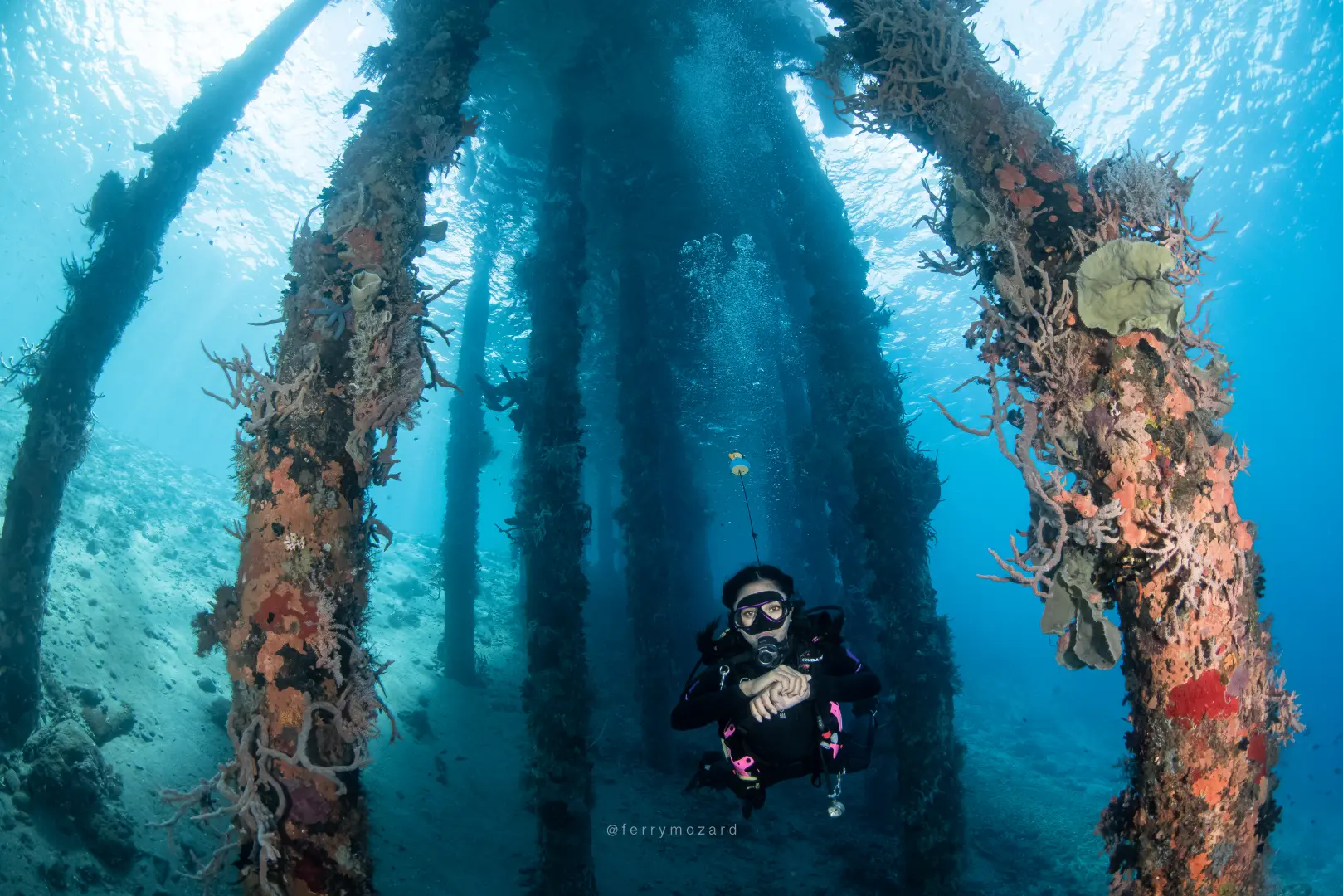 Coral Dive