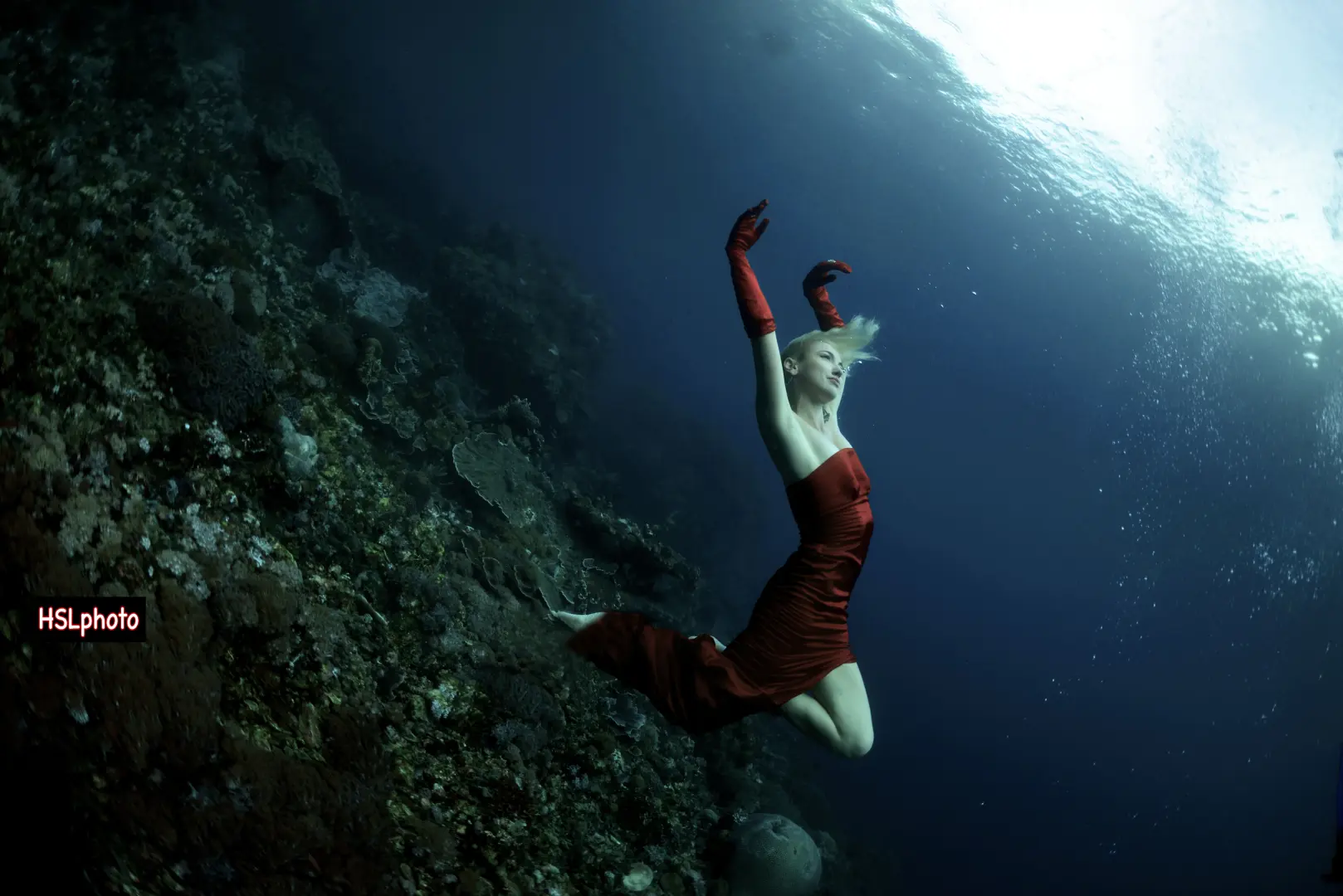 Coral Dive