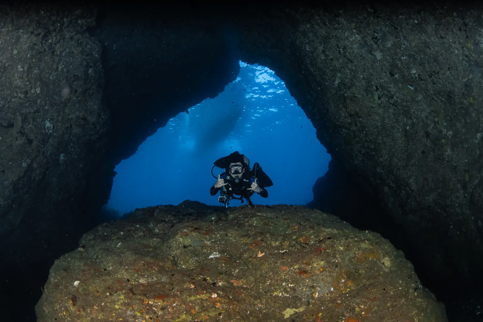 Coral Dive