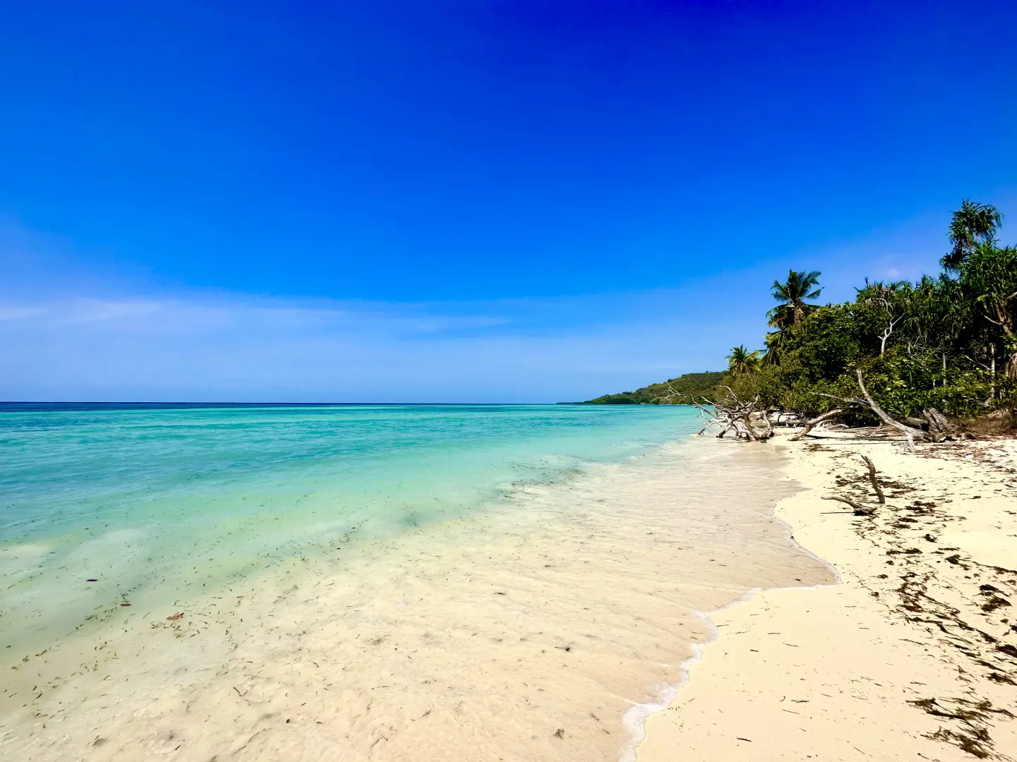 Island Hopping