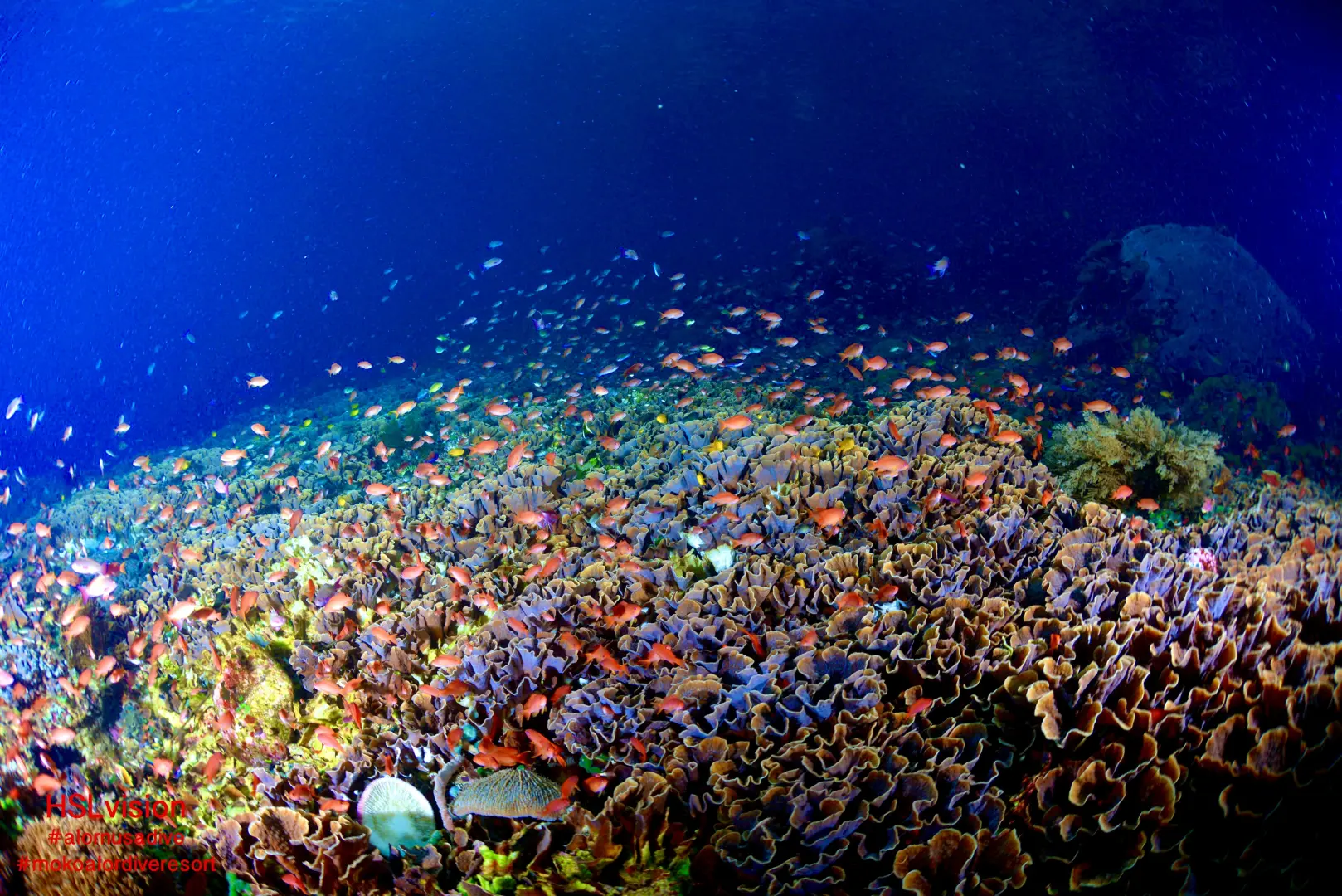 Underwater World