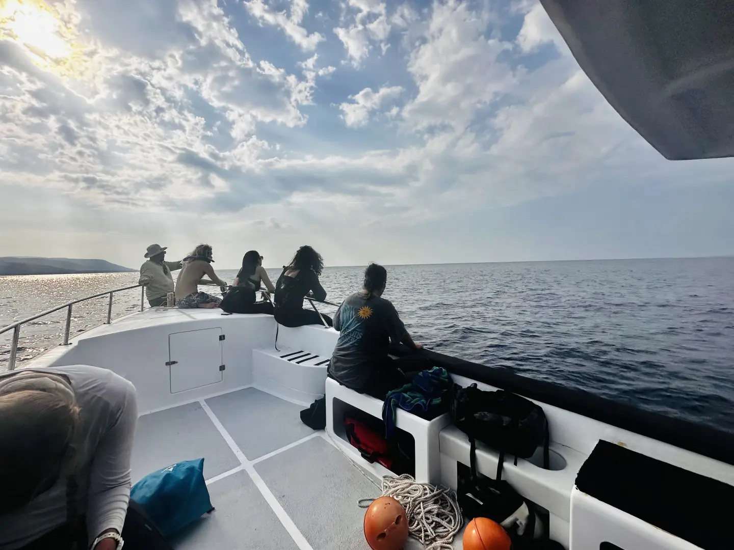 Whale Watching