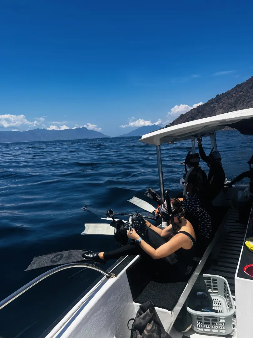 Whale Watching